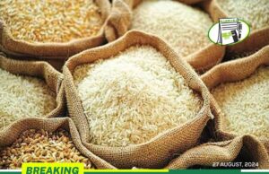 WE DISAGREE WITH DECISION TO BAN EXPORT ON GRAIN – PEASANT FARMERS