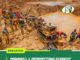 MINING L.I. PERMITTING FOREST MINING MUST BE WITHDRAWN – AWULA SERWAA