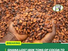 Ghana Lost 160K Tons Of Cocoa To Smuggling In 2023/24 Season, Cocobod Official Says