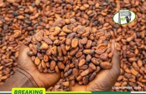 Ghana Lost 160K Tons Of Cocoa To Smuggling In 2023/24 Season, Cocobod Official Says