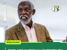 Declare national emergency on galamsey – Prof Adei to Akufo-Addo
