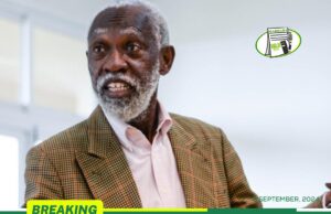 Declare national emergency on galamsey – Prof Adei to Akufo-Addo