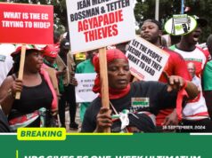 NDC Gives EC One-Week Ultimatum To Act On Audit Demand