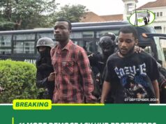 11 more Democracy Hub protestors remanded, to reappear Today