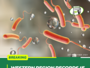 Western Region Records 15 Cholera Deaths