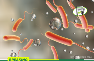 Western Region Records 15 Cholera Deaths