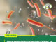 Western Region Records 15 Cholera Deaths