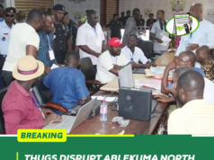 Thugs Disrupt Ablekuma North Election Result Collation