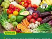 GEPA, FAGE Drive Ghana’s $10B Export at Fruit Logistica Berlin