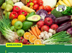 GEPA, FAGE Drive Ghana’s $10B Export at Fruit Logistica Berlin