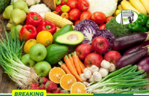 GEPA, FAGE Drive Ghana’s $10B Export at Fruit Logistica Berlin