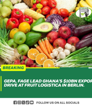 GEPA, FAGE Drive Ghana’s $10B Export at Fruit Logistica Berlin